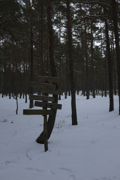 gallery-item